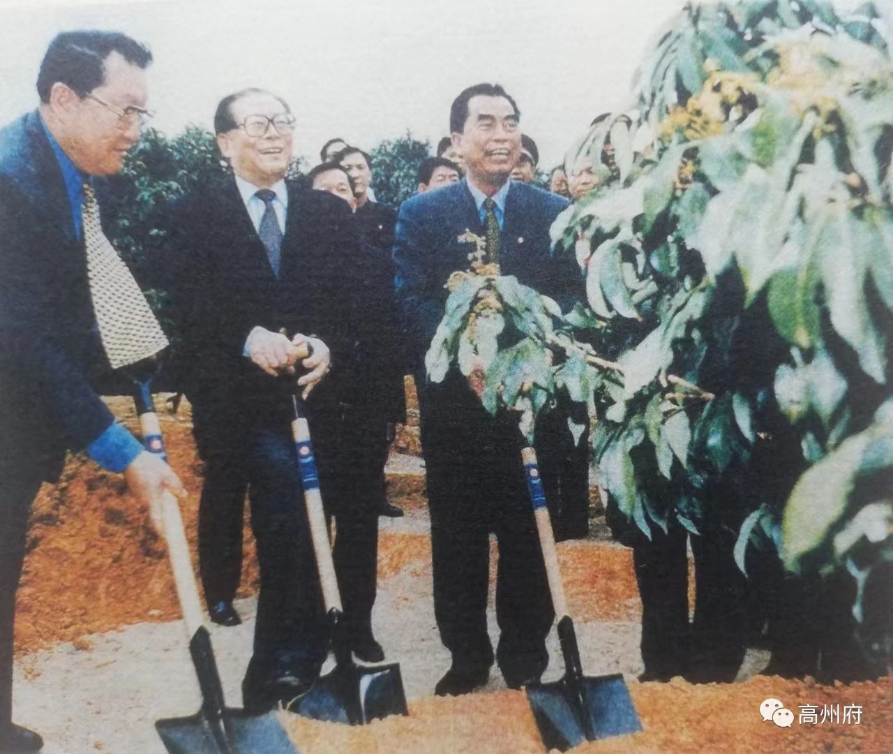 中国有限公司电保-中国荔枝博物馆智慧用电改造